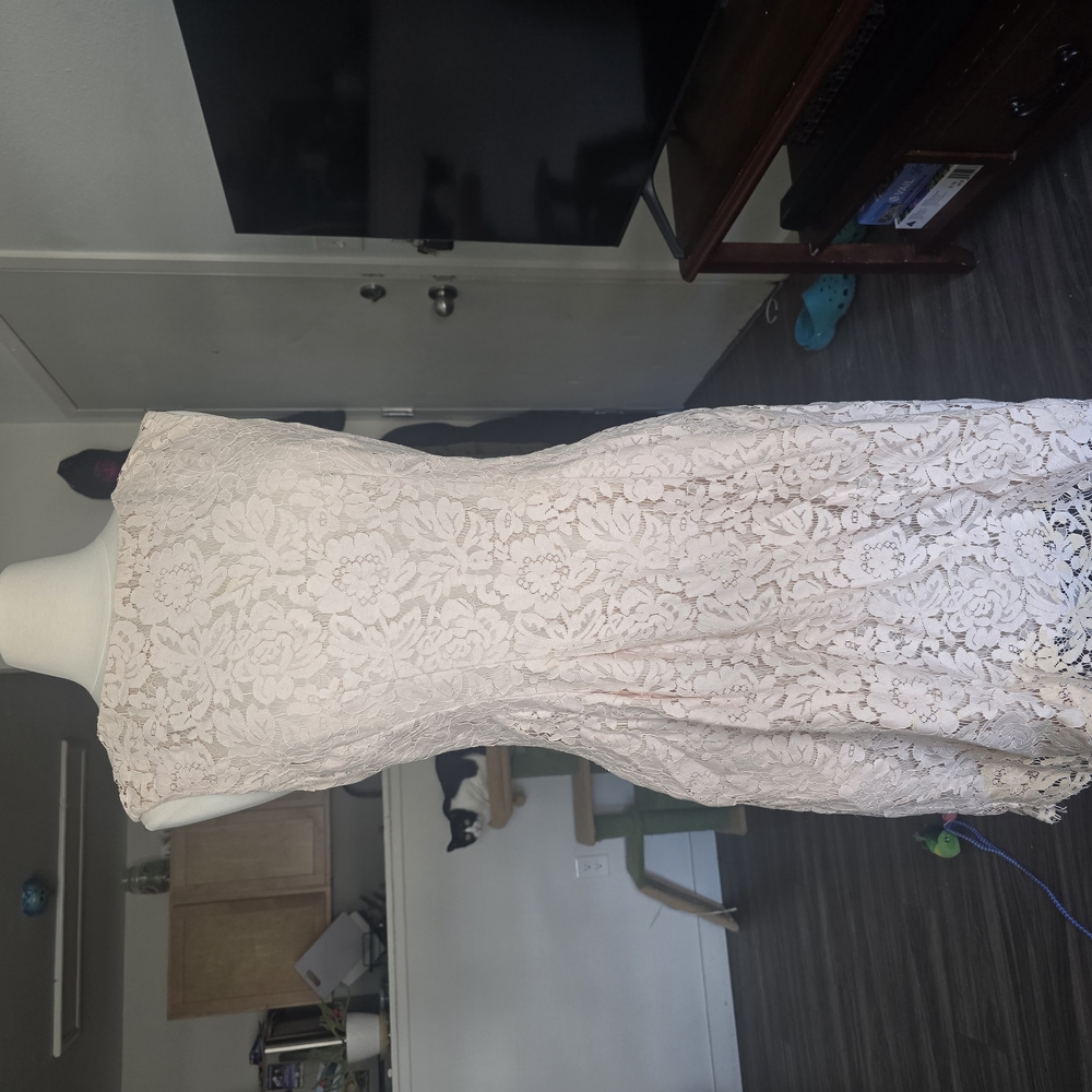 Elegant Lace Sleeveless Dress